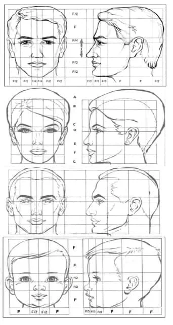 El rostro y sus expresiones canon del rostro